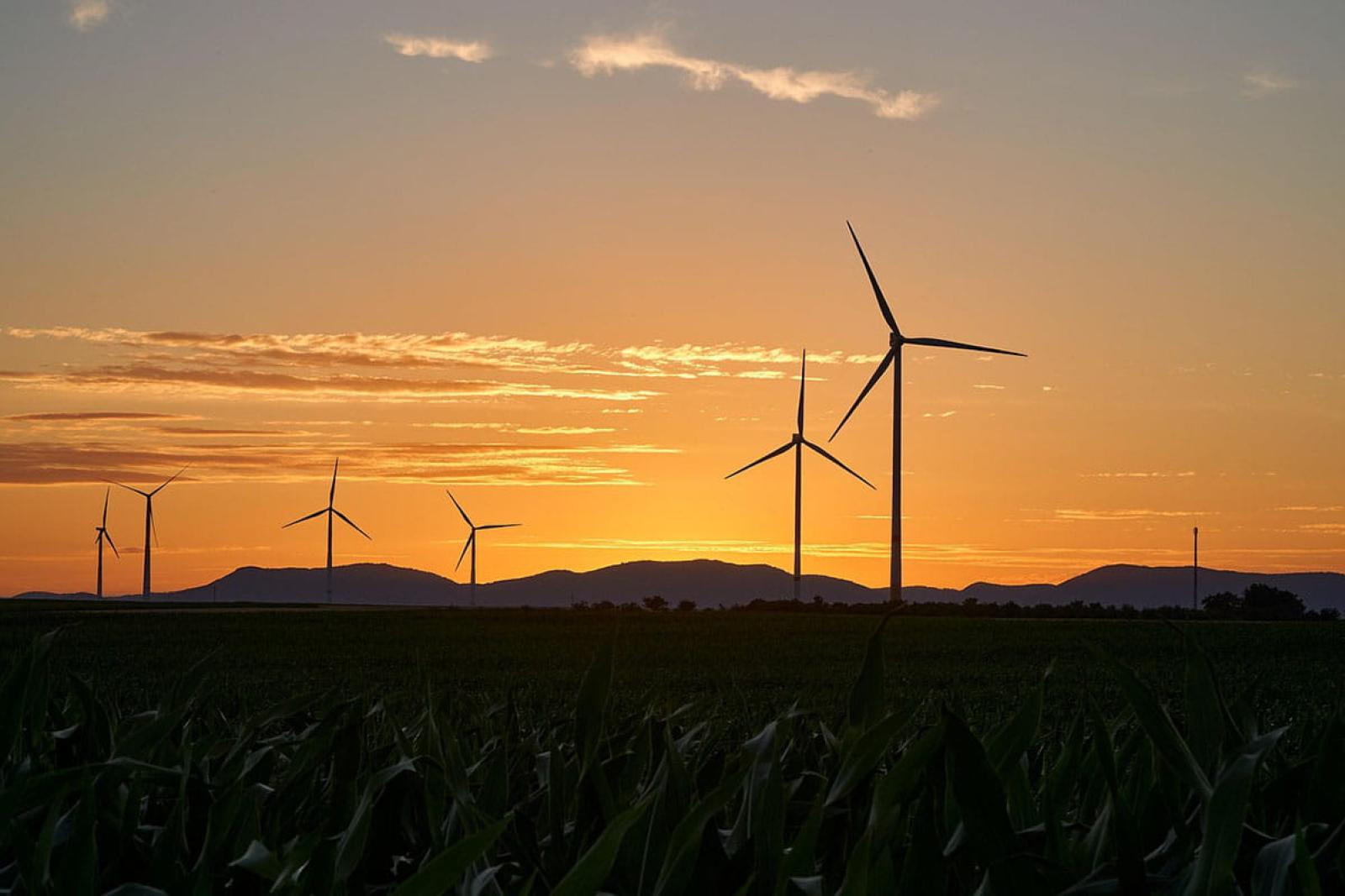 Wind turbines with the sunset behind them